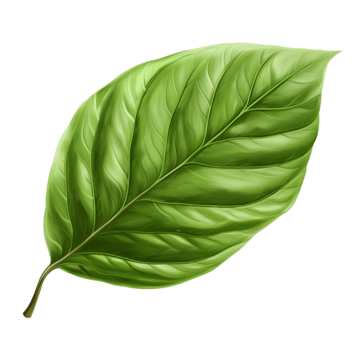 Carbon credits